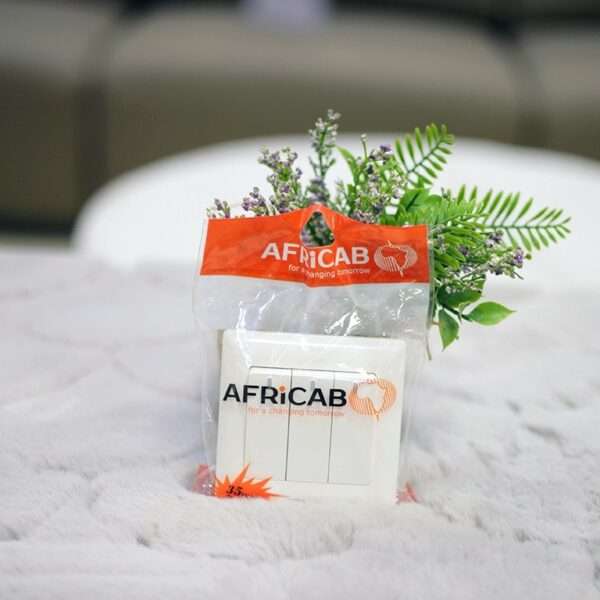 Africab Switch