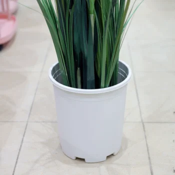 White Plastic Plant Pot