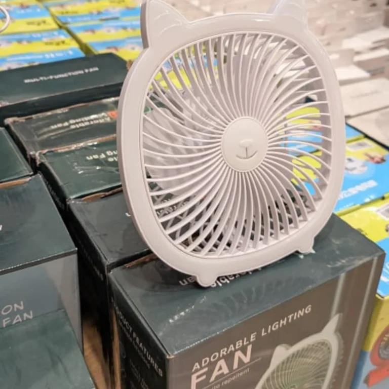 adorable lighting fan 2